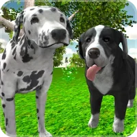 Симулятор Собаки 3D
                  
  
