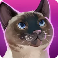 CatHotel - Мой приют для кошек
                  
  