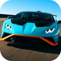 Racing Car Simulator
                  
  