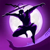Теневой рыцарь платные игры
                  
  